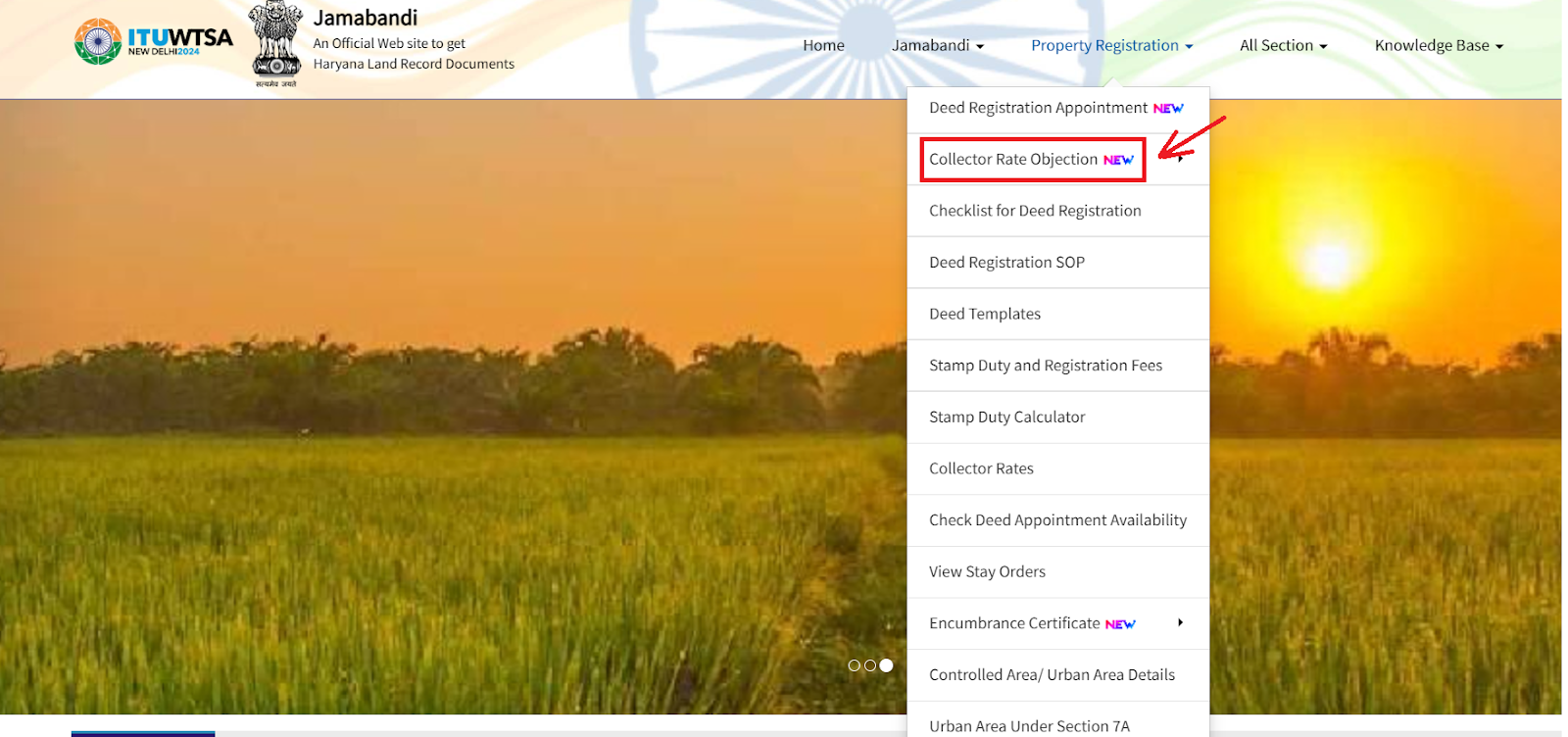 Collector Rate Objection